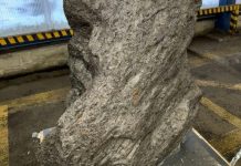 Découverte D’Un Morceau D’Une Grande Météorite Découverte D'Un Morceau D'Une Grande Météorite