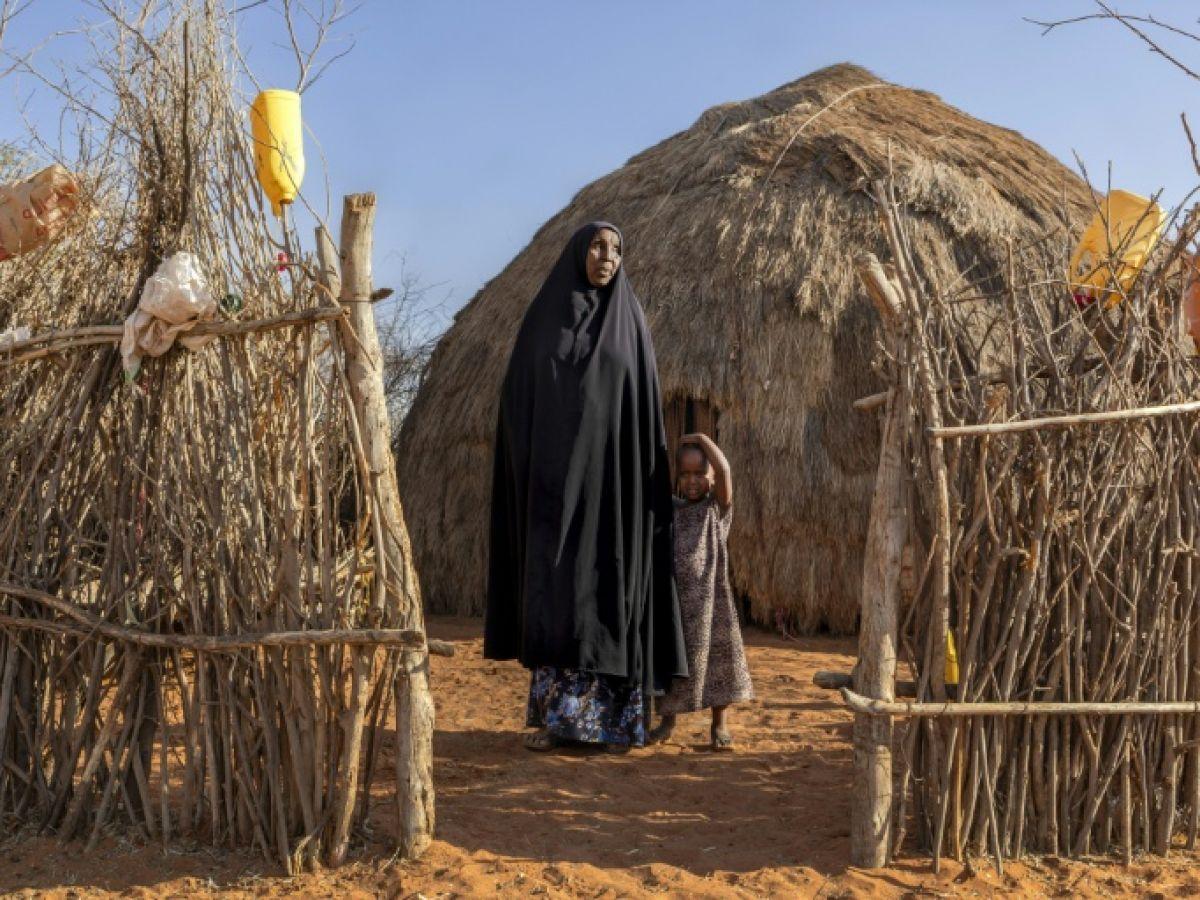 Kala-Azar: Maladie Mortelle des Zones Arides Kala-Azar: Maladie Mortelle des Zones Arides