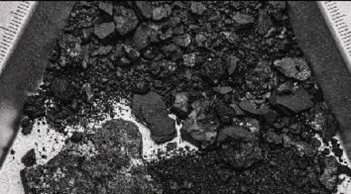 Bennu Contient Les Éléments Essentiels Du Vivant Bennu Contient Les Éléments Essentiels Du Vivant