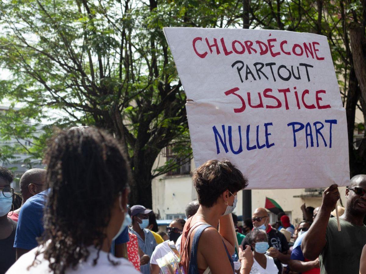 Chlordécone: Appel du Non-Lieu Reporté à 2026 Chlordécone: Appel du Non-Lieu Reporté à 2026