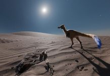 Le Petit Dinosaure de Patagonie aux Long Bras Le Petit Dinosaure de Patagonie aux Long Bras