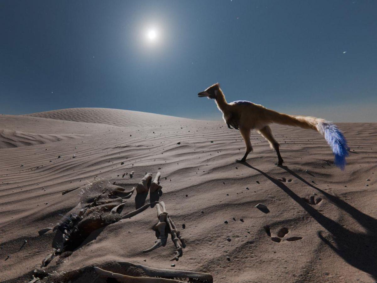Le Petit Dinosaure de Patagonie aux Long Bras Le Petit Dinosaure de Patagonie aux Long Bras