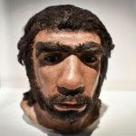 Accouplements entre Néandertaliens et Homo sapiens Accouplements entre Néandertaliens et Homo sapiens