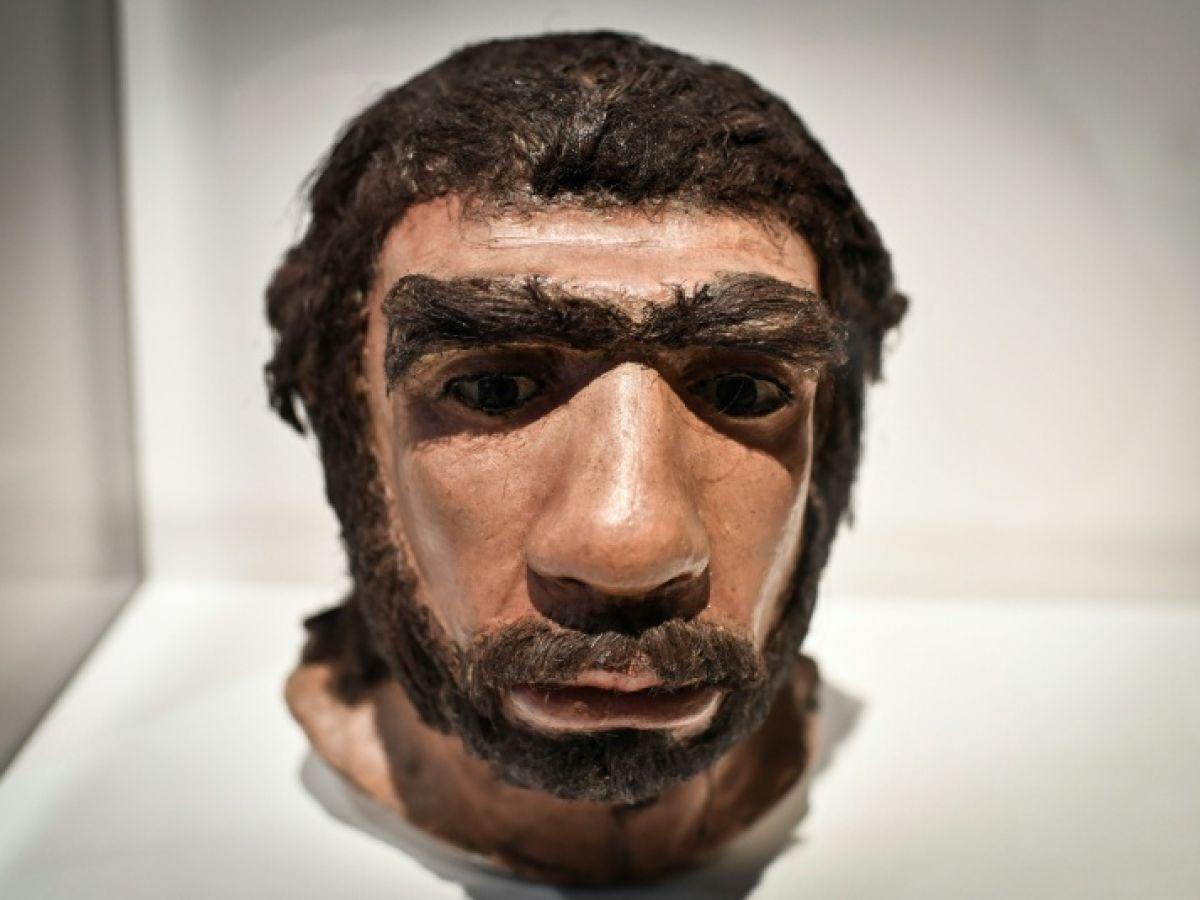 Accouplements entre Néandertaliens et Homo sapiens Accouplements entre Néandertaliens et Homo sapiens