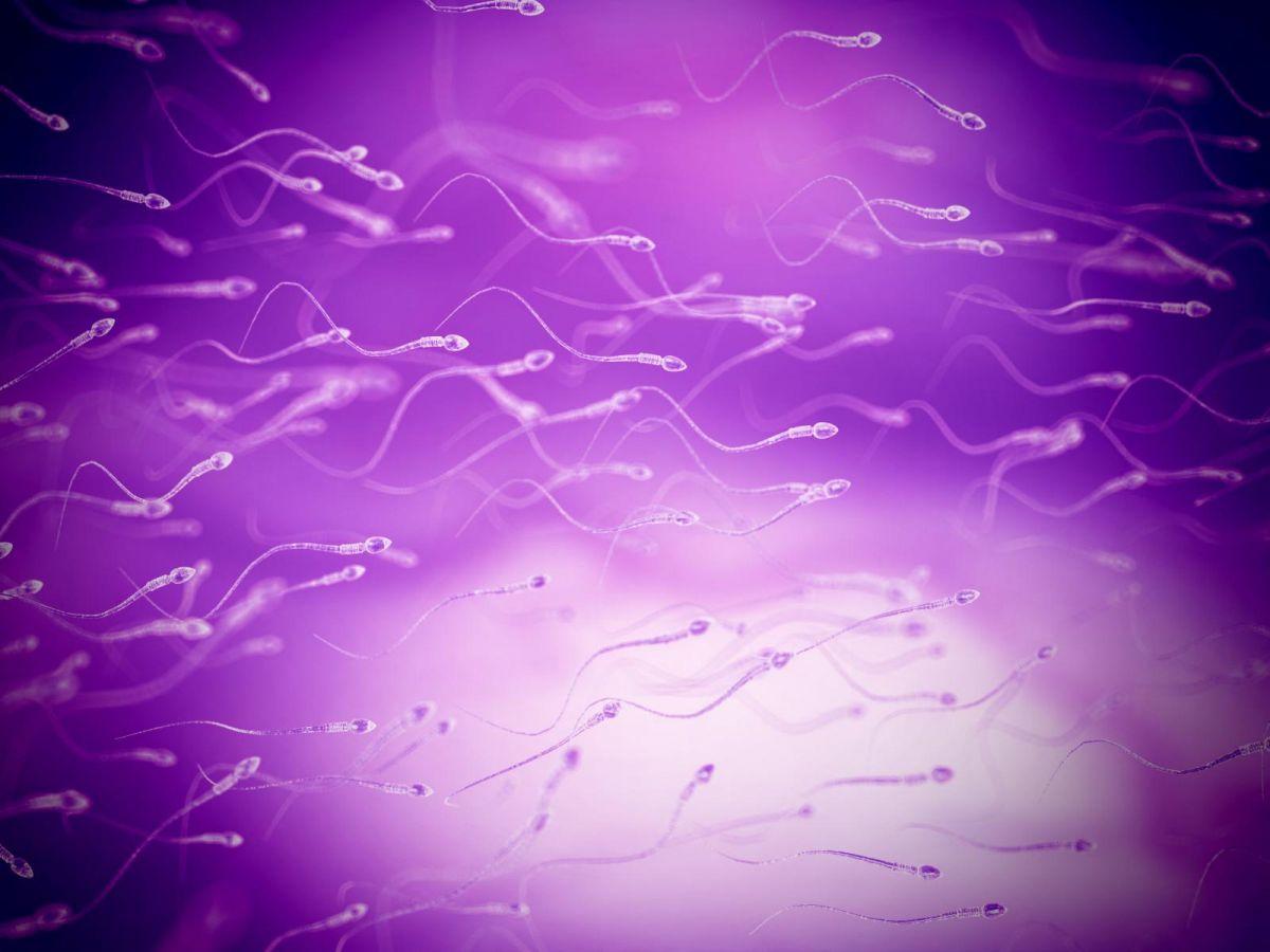 Contraception Masculine: Nouvelle Molécule Réversible Contraception Masculine: Nouvelle Molécule Réversible