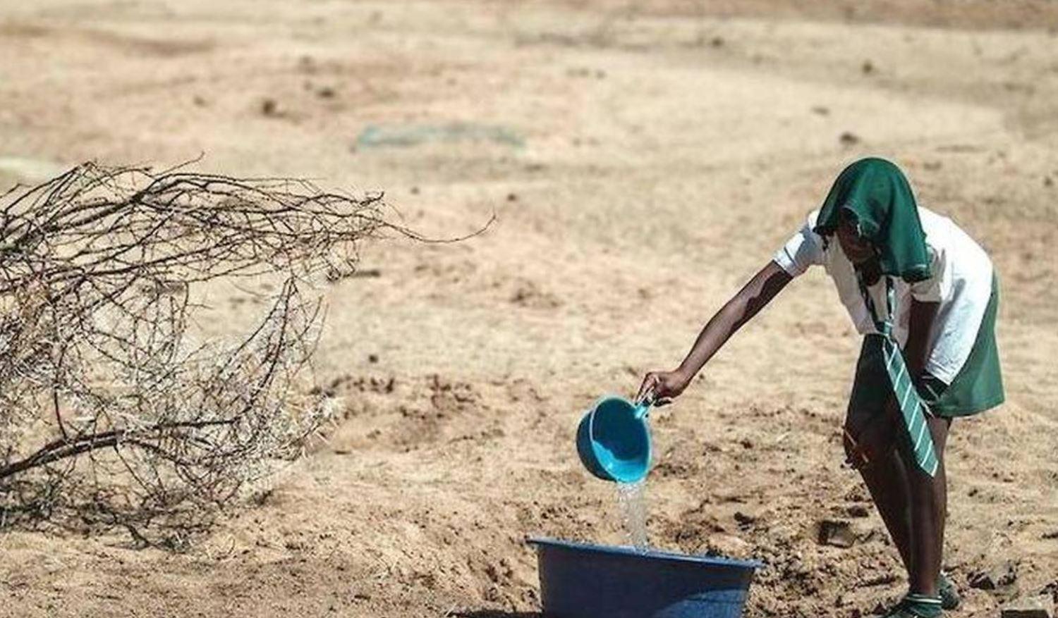 Sécheresse en Afrique : pourquoi le Forum mondial de l’eau doit aboutir à des décisions radicales