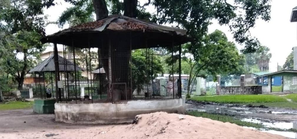 Zoo de Kinshasa : Les travaux de rénovation trépignent Zoo de Kinshasa : Les travaux de rénovation trépignent