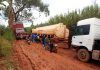 Ituri: lancement des travaux de réhabilitation de la route Kobu-Mungwalu Ituri: lancement des travaux de réhabilitation de la route Kobu-Mungwalu