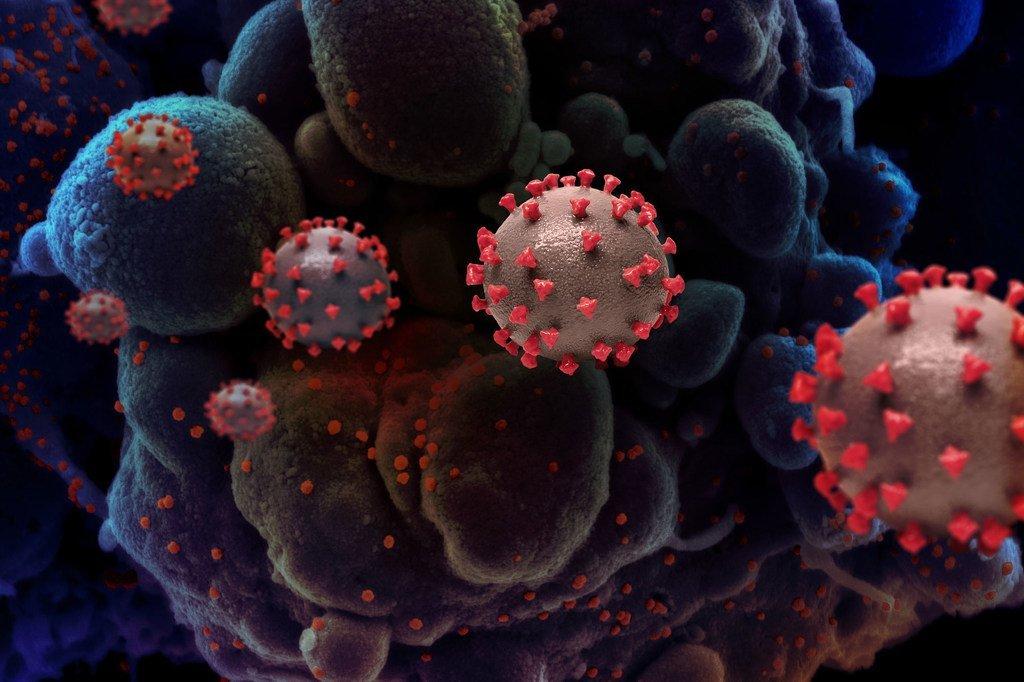 Le Covid-19 accroît le risque de caillots sanguins jusque 6 mois après l'infection, selon une étude suédoise Le Covid-19 accroît le risque de caillots sanguins jusque 6 mois après l'infection, selon une étude suédoise