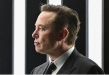 Ce que j’ai appris d’Elon Musk sur le trading Ce que j’ai appris d’Elon Musk sur le trading