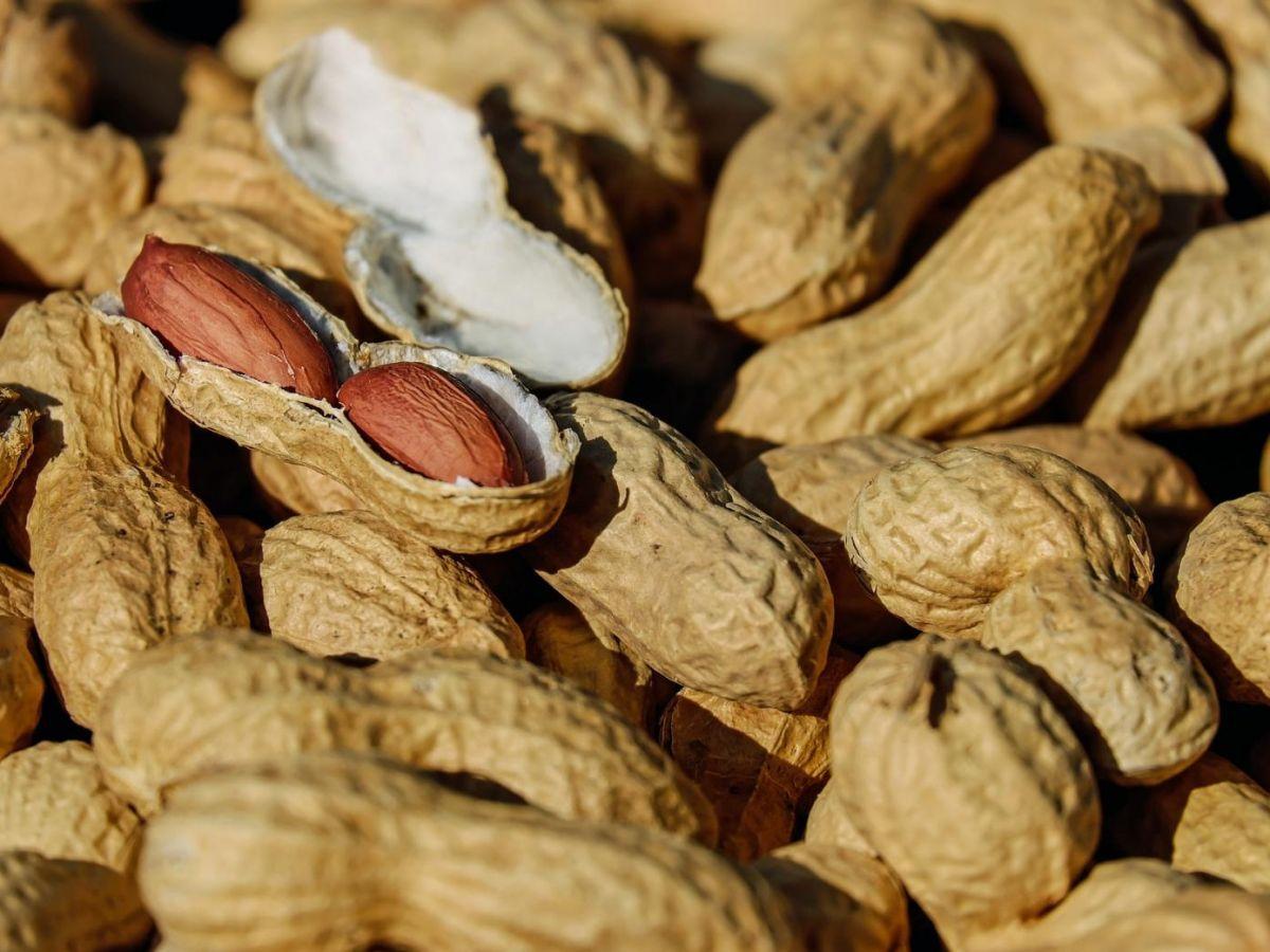 Une pâte dentifrice contre l'allergie aux cacahuètes Une pâte dentifrice contre l'allergie aux cacahuètes