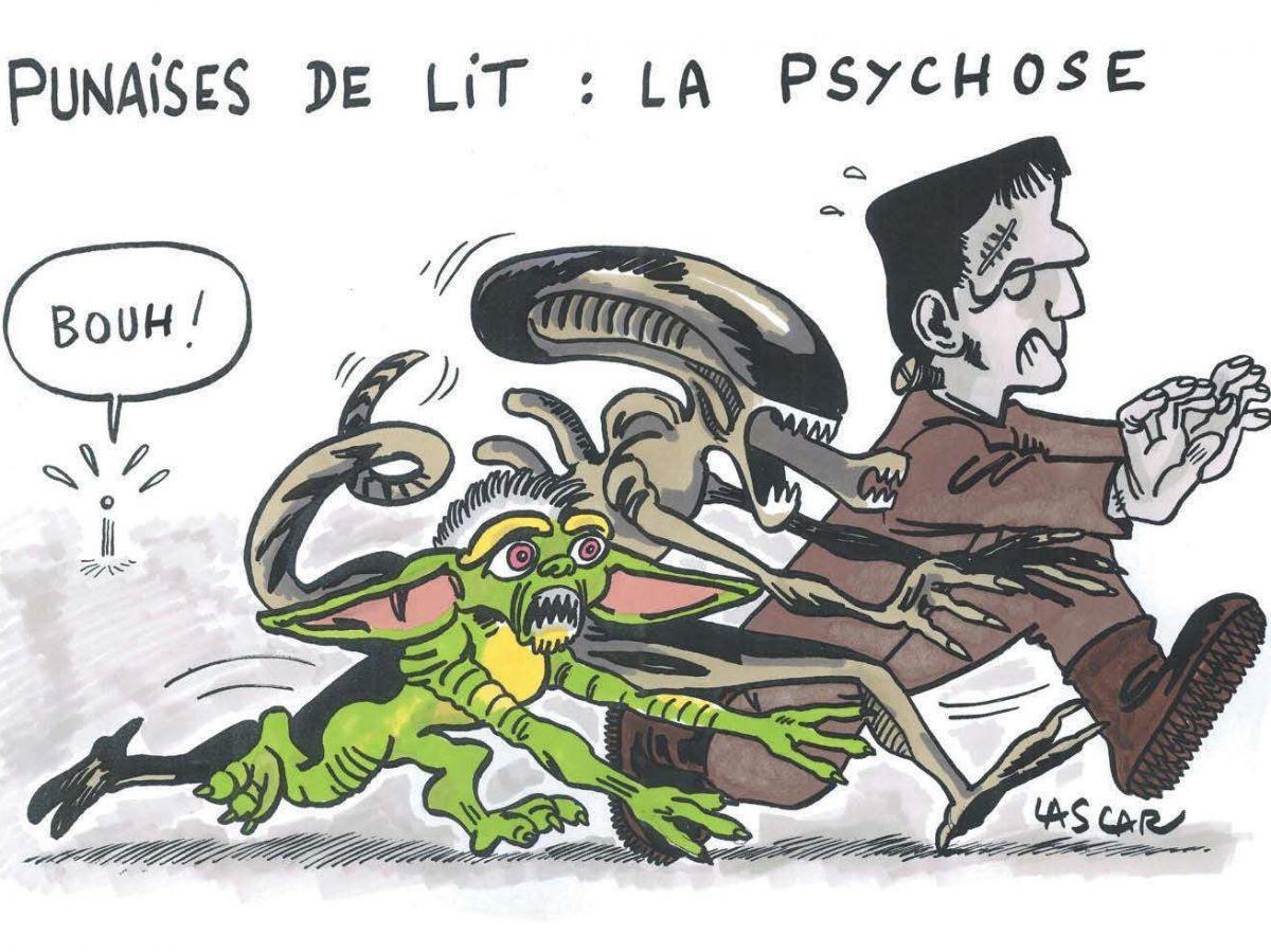 Punaises de lit : l'Anses alerte sur les intoxications provoquées par des insecticides interdits Punaises de lit : l'Anses alerte sur les intoxications provoquées par des insecticides interdits