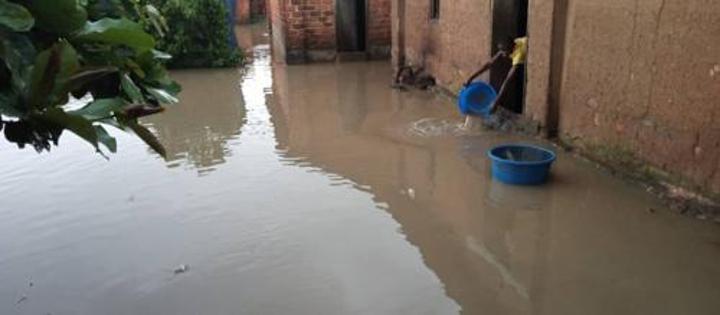Irumu : des inondations détruisent au moins 4500 hectares de céréales dans 7 villages Irumu : des inondations détruisent au moins 4500 hectares de céréales dans 7 villages