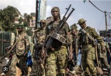 Affrontements à Masisi entre M23 et Groupes Armés Locaux Affrontements à Masisi entre M23 et Groupes Armés Locaux