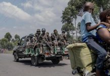 Ituri: 15 Morts dans les Opérations Militaires Ituri: 15 Morts dans les Opérations Militaires