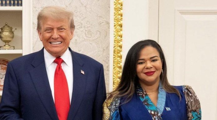 Le Retour des Américains au Congo Le Retour des Américains au Congo