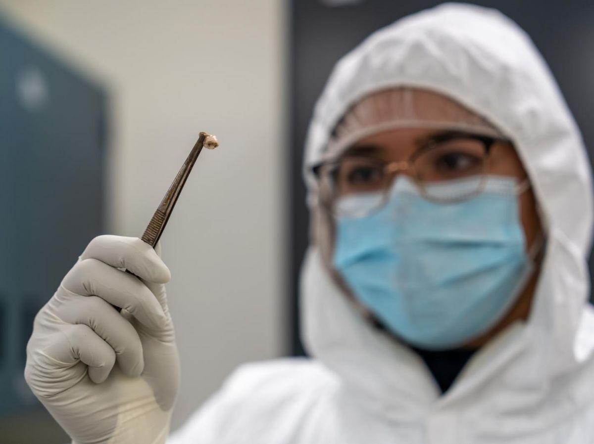 Raisons de la Longévité des Pandémies de Peste Raisons de la Longévité des Pandémies de Peste