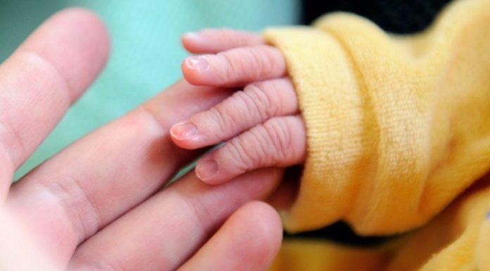 Exposition à des Polluants de l’Air et Leucémies Aiguës Exposition à des Polluants de l'Air et Leucémies Aiguës