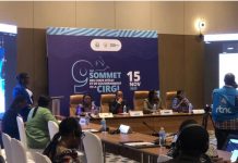 CIRGL: Experts de la Défense pour la Stabilisation CIRGL: Experts de la Défense pour la Stabilisation