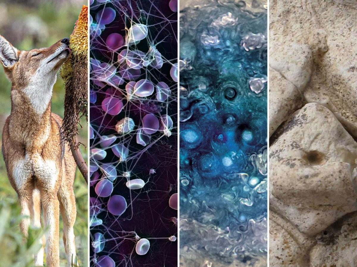 Un Monde À Découvrir: Atomes Aux Étoiles Un Monde À Découvrir: Atomes Aux Étoiles