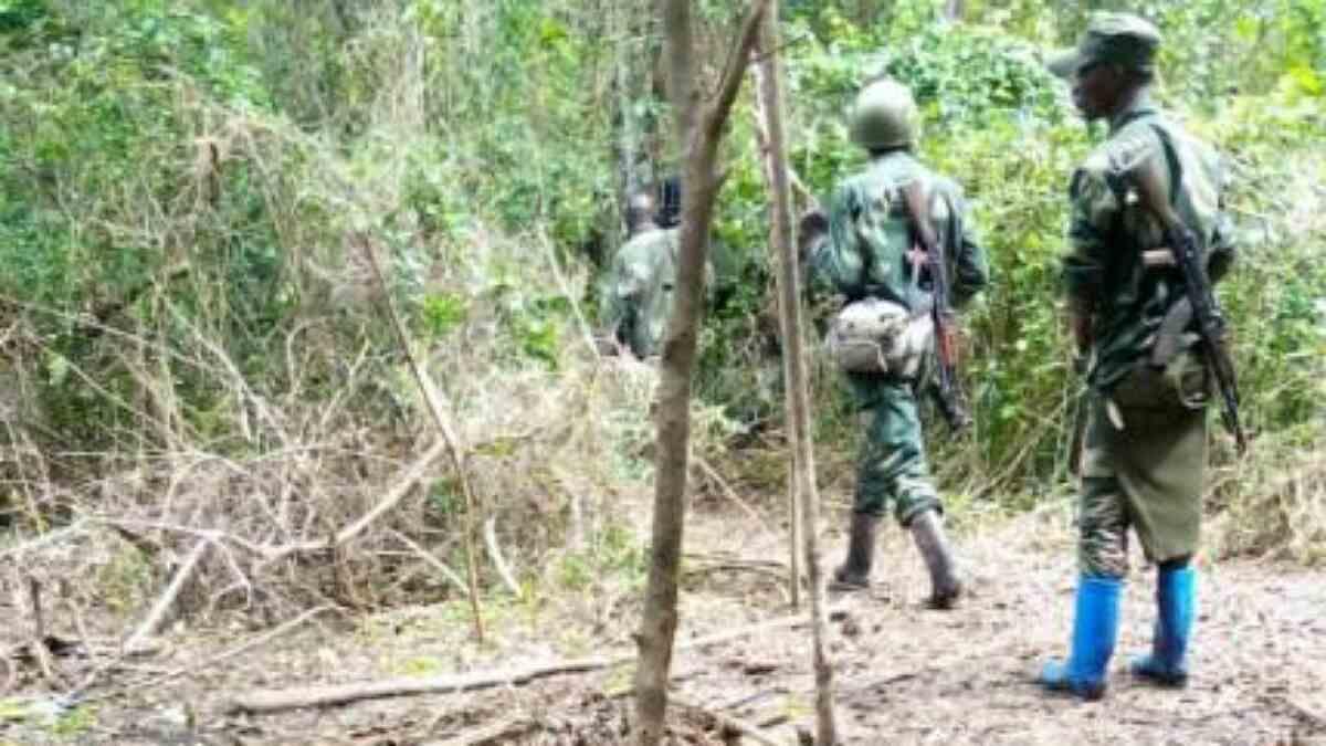 Attaque ADF à Manzia fait près de 20 morts Attaque ADF à Manzia fait près de 20 morts