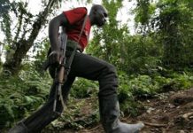 Massacres à Lubero: Bilan S’alourdit et Psychose Grandit Massacres à Lubero: Bilan S'alourdit et Psychose Grandit