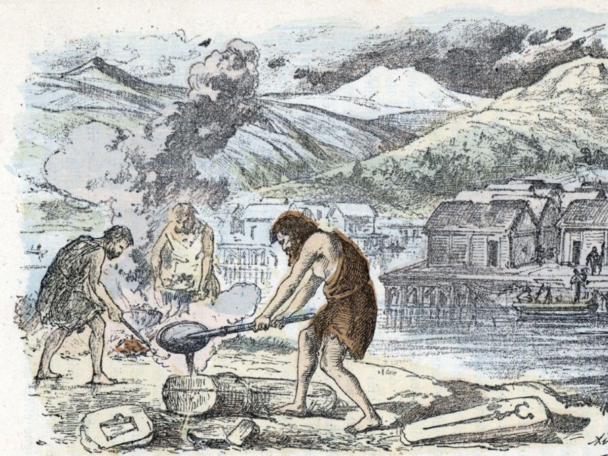 Aux Origines De La Domination Masculine Aux Origines De La Domination Masculine