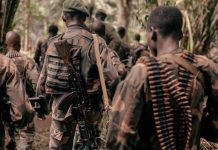 Affrontements entre FARDC et CRP à Djugu en Ituri Affrontements entre FARDC et CRP à Djugu en Ituri