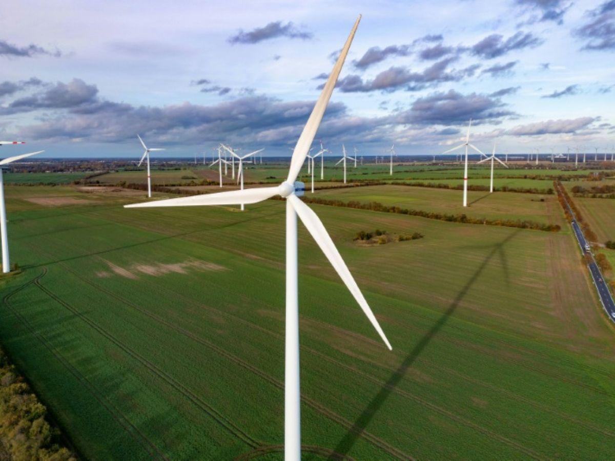 Eoliennes Et Lumière Intermittente Sauvent Chauves-Souris Eoliennes Et Lumière Intermittente Sauvent Chauves-Souris