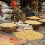 Kasaï-Central: Prix du Maïs Augmente à Kananga Kasaï-Central: Prix du Maïs Augmente à Kananga