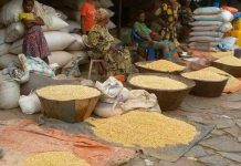 Kasaï-Central: Prix du Maïs Augmente à Kananga Kasaï-Central: Prix du Maïs Augmente à Kananga