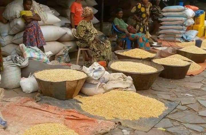 Kasaï-Central: Prix du Maïs Augmente à Kananga Kasaï-Central: Prix du Maïs Augmente à Kananga
