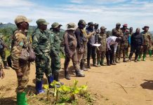 Milices Wazalendos Créent Directoire pour Riposte Est Milices Wazalendos Créent Directoire pour Riposte Est