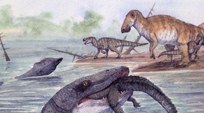 Le Ravin De L’Enfer Et Les Mosasaures Chasseurs Le Ravin De L'Enfer Et Les Mosasaures Chasseurs