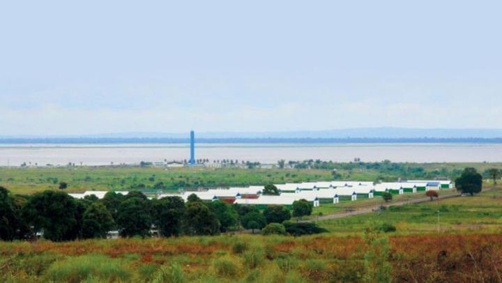 Fermeture progressive du Domaine agro-industriel N’sele Fermeture progressive du Domaine agro-industriel N’sele