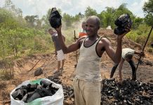 Production de Sacs en Charbon Vert à Yangambi Production de Sacs en Charbon Vert à Yangambi