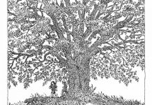 L’Homme Qui Plantait Des Arbres Revisité En Dessins L'Homme Qui Plantait Des Arbres Revisité En Dessins