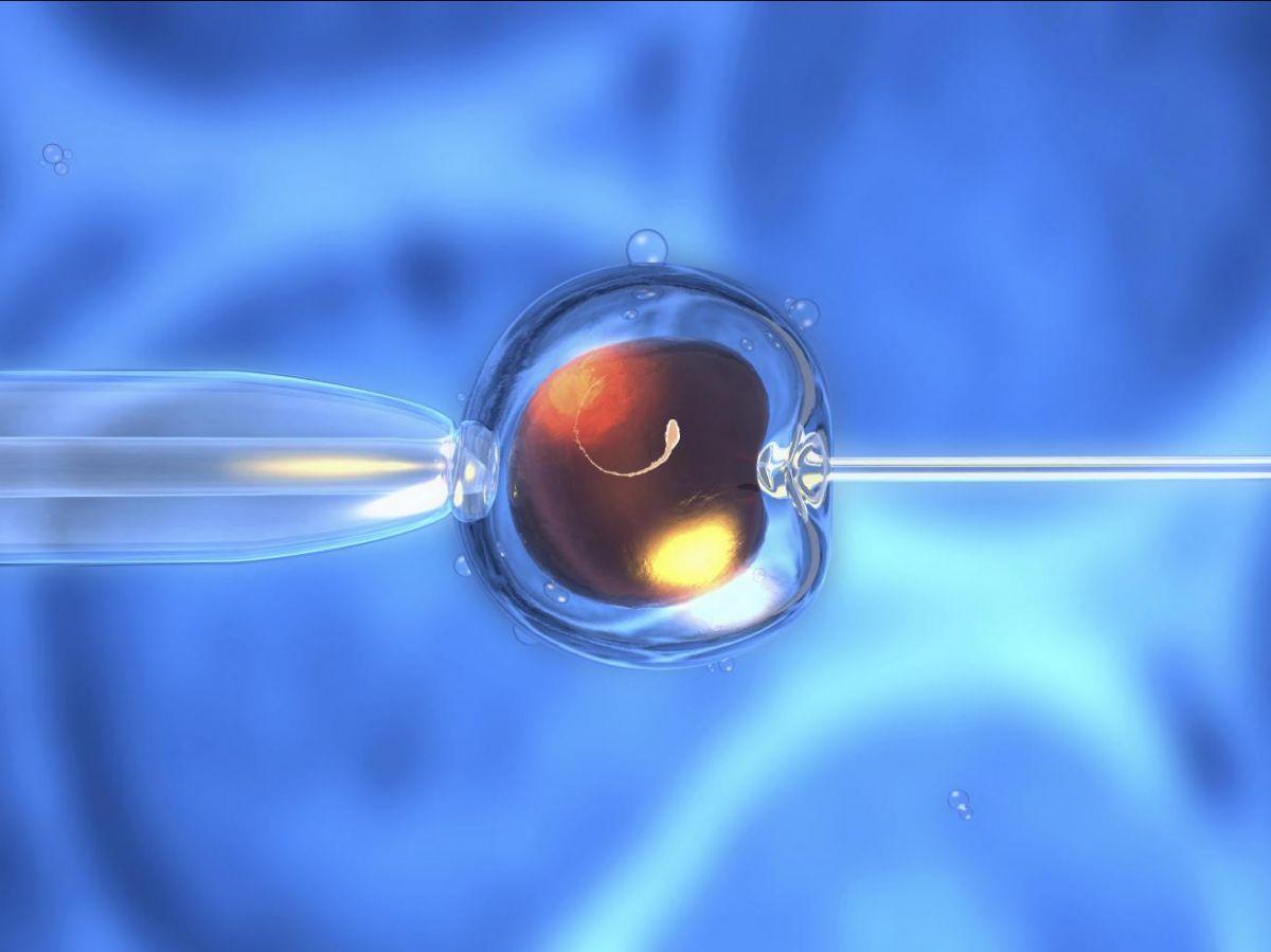 Bébés Conçus Par PMA Grandissent-Ils Comme Les Autres? Bébés Conçus Par PMA Grandissent-Ils Comme Les Autres?