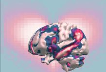 Amour Romantique, Parental, Amical ou Animal: Le Plus Fort? Amour Romantique, Parental, Amical ou Animal: Le Plus Fort?