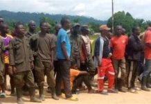 Nouvelle Vague de Rebelles M23-AFC Rejoint les FARDC Nouvelle Vague de Rebelles M23-AFC Rejoint les FARDC