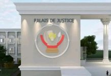 Détachement spécial pour infractions foncières à Kinshasa Détachement spécial pour infractions foncières à Kinshasa