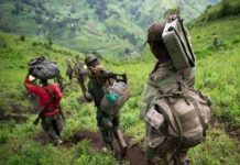 Quand l’économie est au cœur de la guerre des ADF Quand l’économie est au cœur de la guerre des ADF