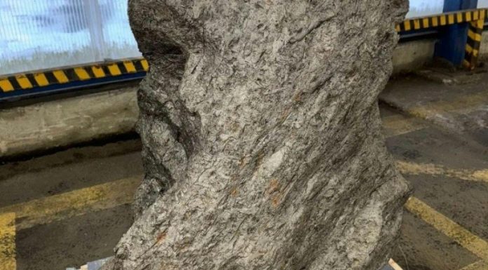 Découverte D’Un Morceau D’Une Grande Météorite Découverte D'Un Morceau D'Une Grande Météorite