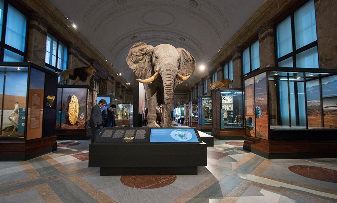 Belgique Refuse Accès Archives Géologiques Congolaises Belgique Refuse Accès Archives Géologiques Congolaises