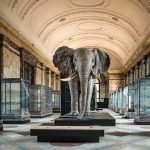 Cobalt et Lithium Congolais: Washington en Conflit avec Bruxelles Cobalt et Lithium Congolais: Washington en Conflit avec Bruxelles