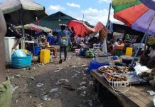 Dossier Pakadjuma: Déplacés de Kinkole en Précarité Dossier Pakadjuma: Déplacés de Kinkole en Précarité