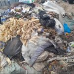 Rareté des Poubelles Publiques Inquiète à Kinshasa Rareté des Poubelles Publiques Inquiète à Kinshasa