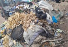 Rareté des Poubelles Publiques Inquiète à Kinshasa Rareté des Poubelles Publiques Inquiète à Kinshasa