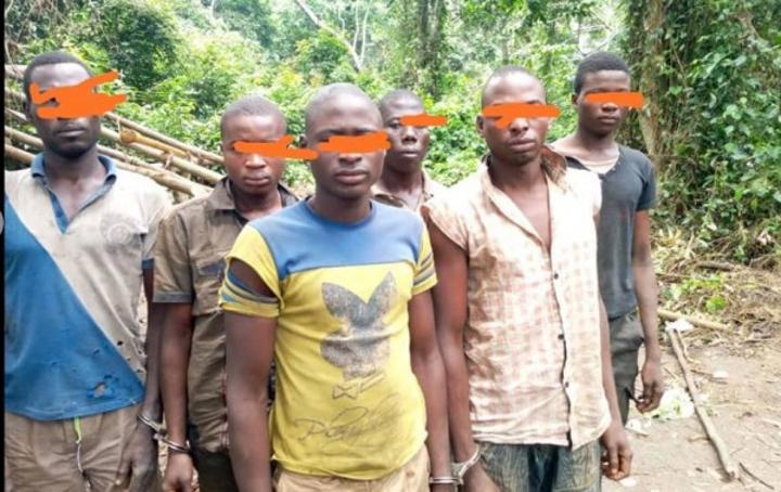 Côte d'Ivoire : Sécurisation des forêts classées, plusieurs clandestins mis aux arrêts vont subir la rigueur de la loi Côte d'Ivoire : Sécurisation des forêts classées, plusieurs clandestins mis aux arrêts vont subir la rigueur de la loi