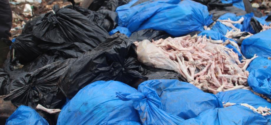 Plus de 260 cartons de poulets congelés avariés incinérés à Aboissso Plus de 260 cartons de poulets congelés avariés incinérés à Aboissso